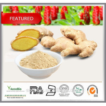 Wholesale Ginger Extract Powder, Ginger Root Extract in stock, Gingerols 5% 6% 15% Curcumin 95%